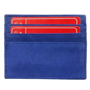 Blue Credit Card Holding Wallet